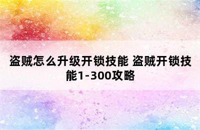 盗贼怎么升级开锁技能 盗贼开锁技能1-300攻略